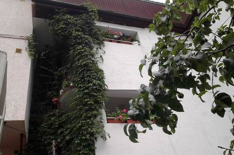 Изображение Изображение гостиницы &quot;Гостевой дом «Hot-Alushta»&quot; #9 #7