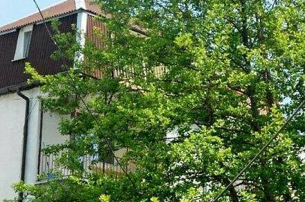 Изображение Изображение гостиницы &quot;Гостевой дом «Hot-Alushta»&quot; #10 #8