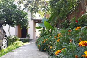 Изображение отеля / гостиницы "Гостевой дом «У Риммы»"