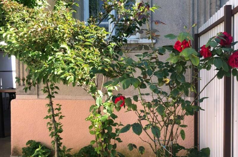 Изображение Изображение гостиницы &quot;Гостевой дом «Вокруг света»&quot; #4 #2