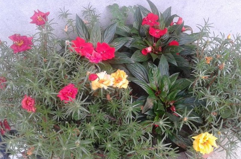 Изображение Изображение гостиницы &quot;Частный сектор «Санчо»&quot; #7 #5