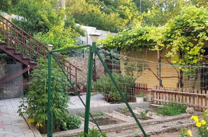 Изображение Изображение гостиницы &quot;Гостевой дом на Сиренной 1&quot; #4 #2