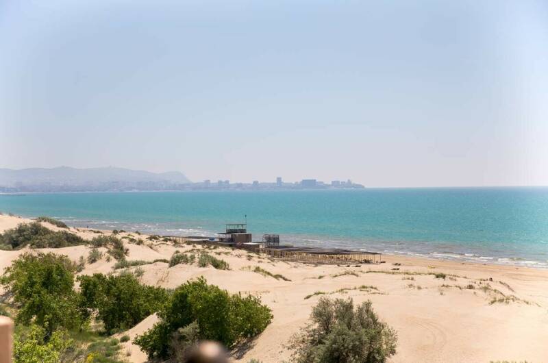 Изображение Изображение гостиницы &quot;Отель «Alfa Summer»&quot; #7 #5