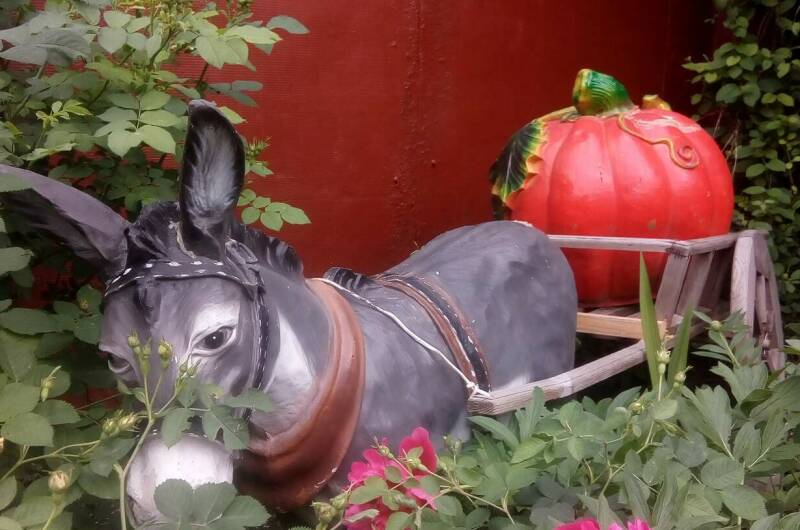 Изображение Изображение гостиницы &quot;Частный дом «В гостях у Шаха»&quot; #7 #5