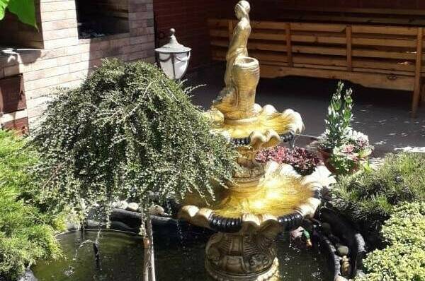 Изображение Изображение гостиницы &quot;Гостевой дом «Лазурный»&quot; #8 #6