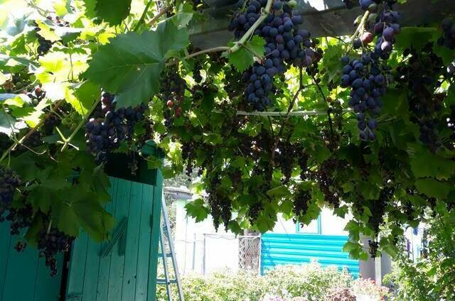 Изображение Изображение квартиры &quot;Дом под ключ&quot; #5 #3