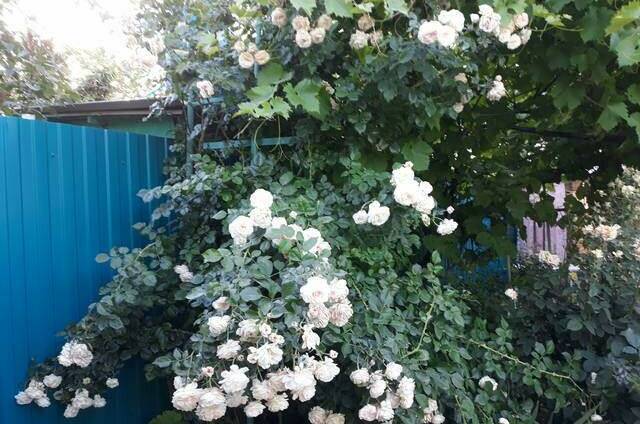 Изображение Изображение квартиры &quot;Дом под ключ&quot; #8 #6