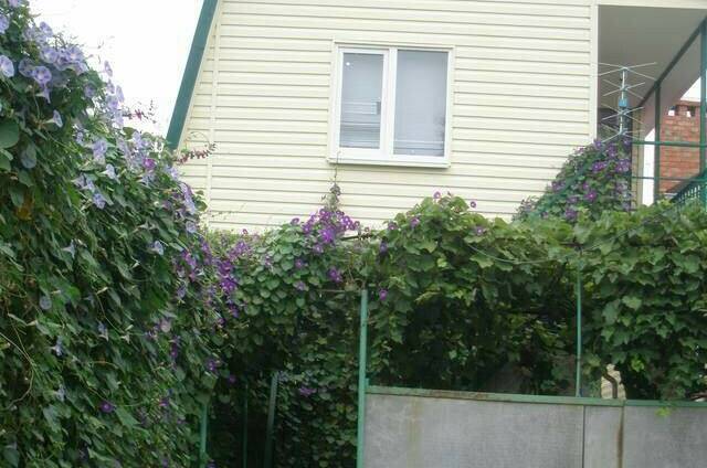 Изображение Изображение квартиры &quot;Дом под ключ&quot; #10 #8