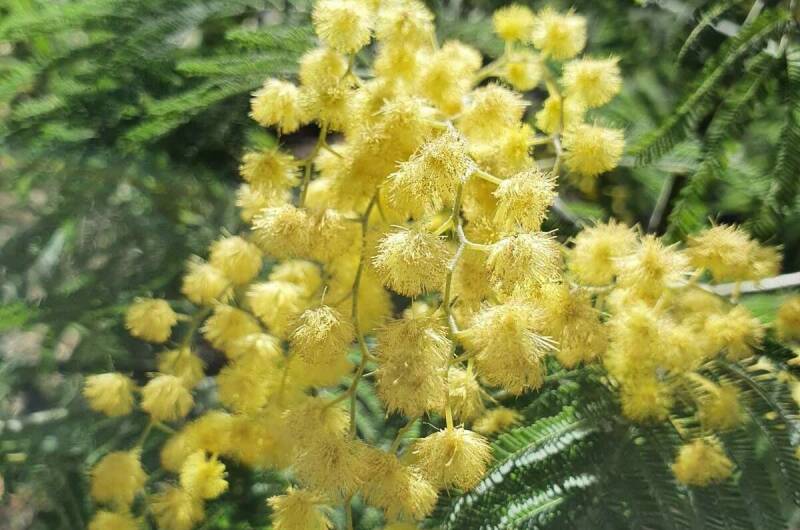 Изображение Изображение квартиры &quot;Квартира-студия «У Жанны»&quot; #9 #7