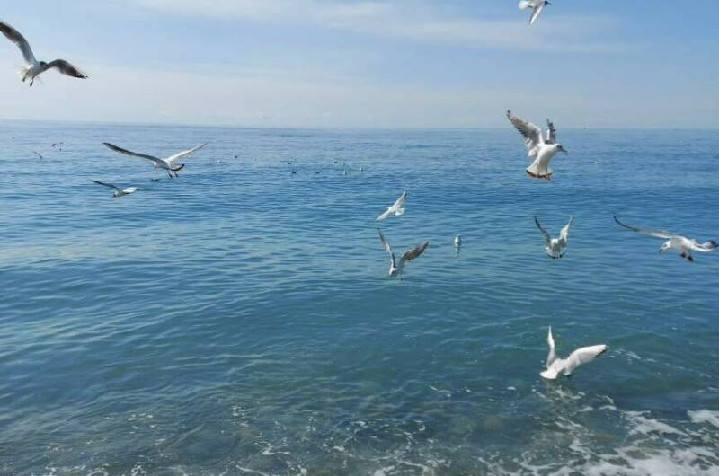 Изображение Изображение квартиры &quot;Квартира-студия «У Жанны»&quot; #10 #8