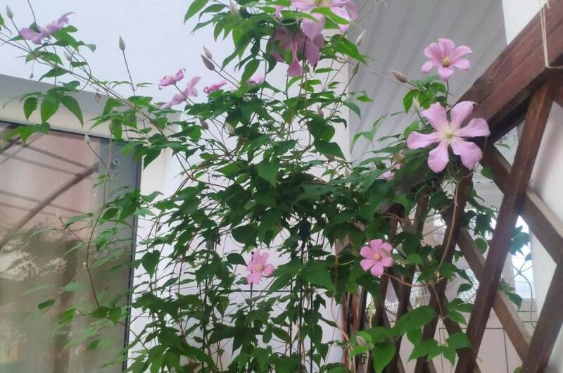 Изображение Изображение гостиницы &quot;Гостевой дом «Мария»&quot; #3 #1