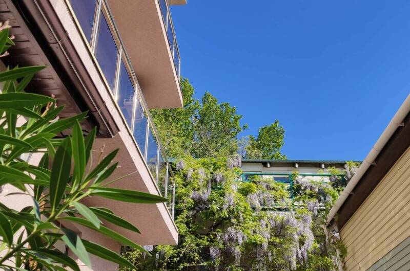 Изображение Изображение гостиницы &quot;Гостевой дом «Алегрия»&quot; #6 #4