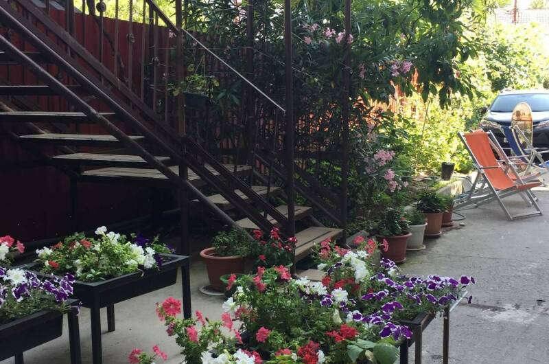 Изображение Изображение гостиницы &quot;Гостевой дом «Оазис»&quot; #9 #7