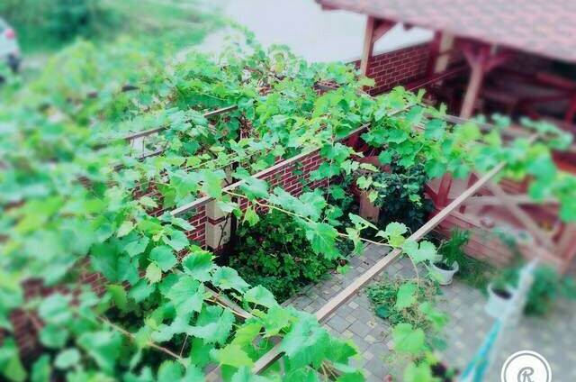 Изображение Изображение гостиницы &quot;Гостевой дом «Twin Tower»&quot; #3 #1