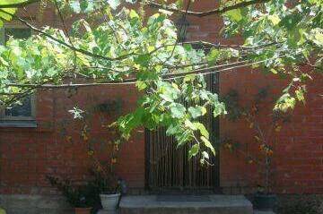 Изображение Изображение гостиницы &quot;Гостевой дом «Мираж»&quot; #4 #2