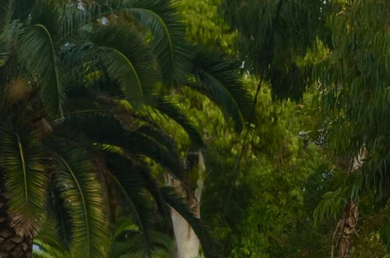 Изображение Изображение гостиницы &quot;Гостевой дом «У Кота Василия»&quot; #3 #1