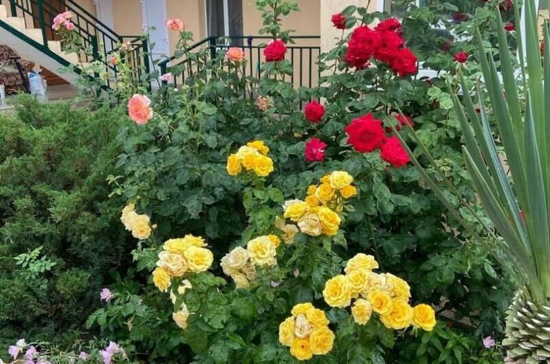 Изображение Изображение гостиницы &quot;Гостевой дом «Светалина»&quot; #4 #2