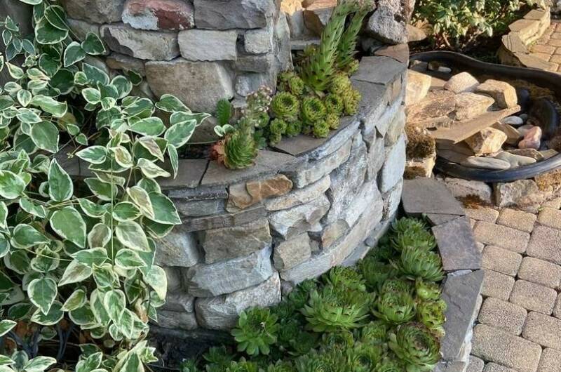 Изображение Изображение гостиницы &quot;Гостевой дом «Светалина»&quot; #10 #8