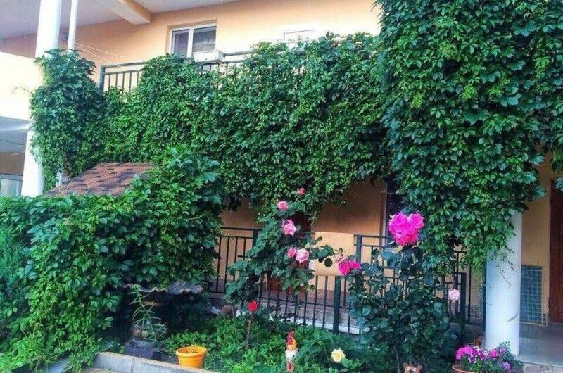 Изображение Изображение гостиницы &quot;Гостевой дом «Светалина»&quot; #11 #9