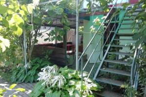 Изображение #5