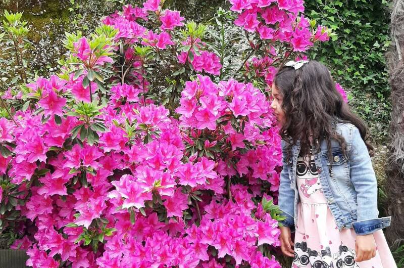 Изображение гостиницы "Частный сектор" #1