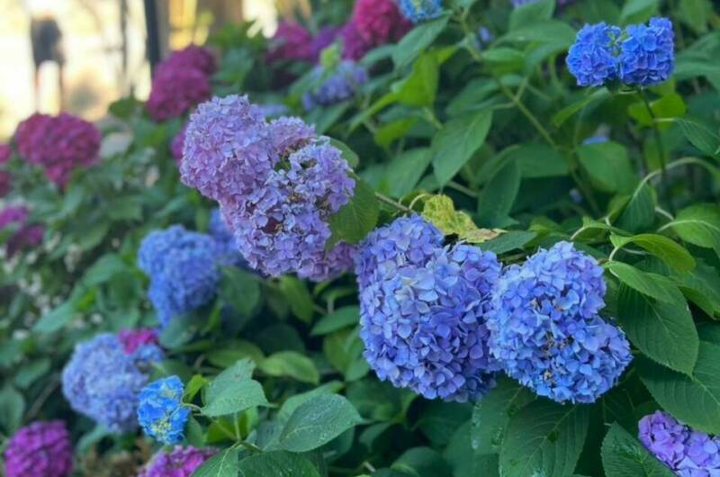 Изображение Изображение гостиницы &quot;Частный сектор&quot; #3 #1