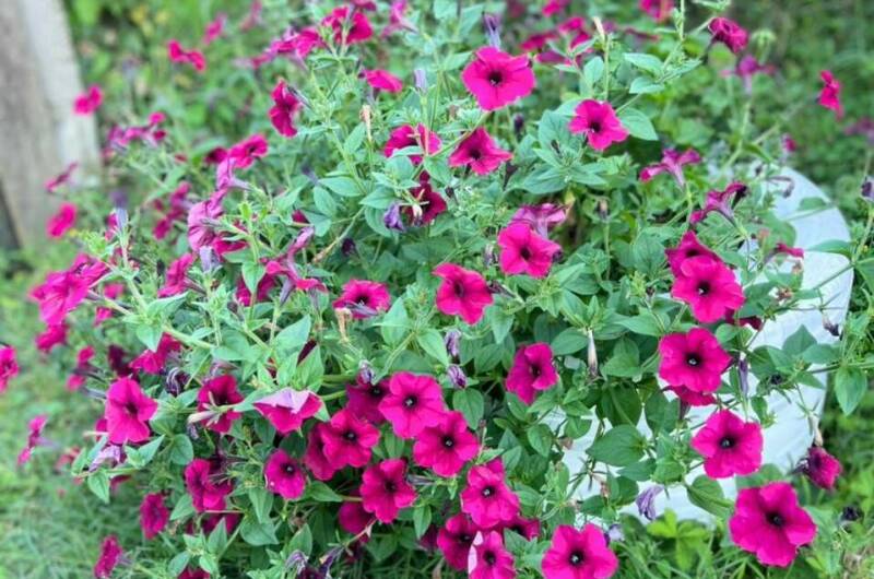 Изображение Изображение гостиницы &quot;Частный сектор&quot; #4 #2