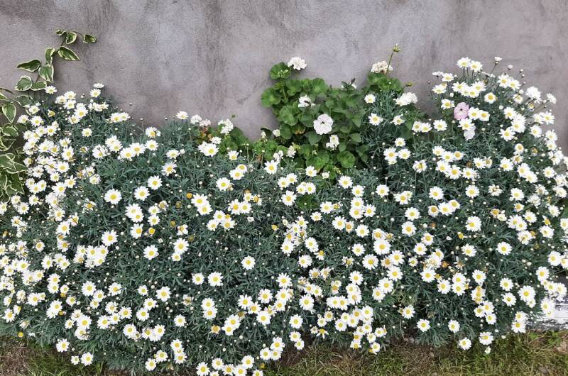 Изображение Изображение гостиницы &quot;Частный сектор&quot; #5 #3