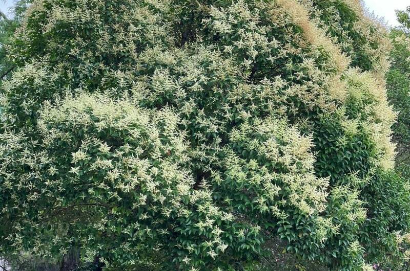 Изображение Изображение гостиницы &quot;Частный сектор&quot; #10 #8