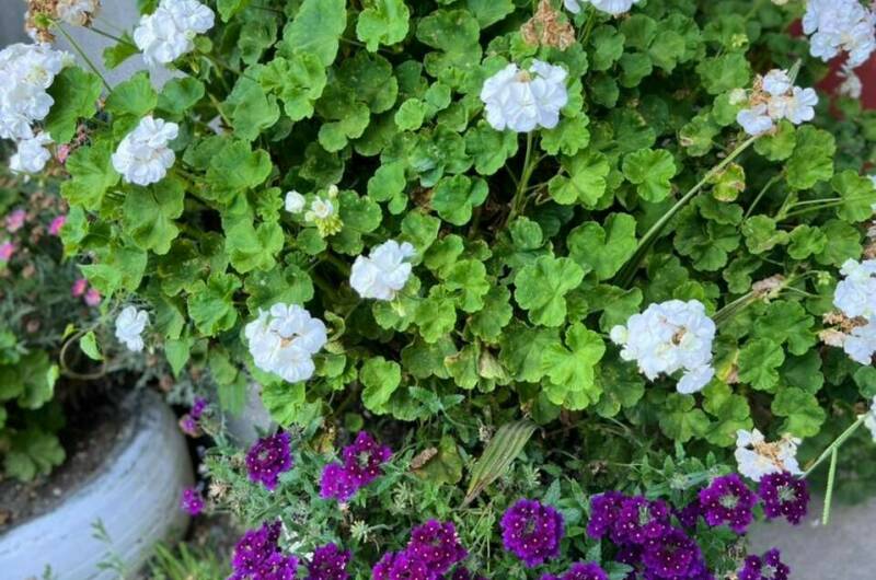 Изображение Изображение гостиницы &quot;Частный сектор&quot; #11 #9