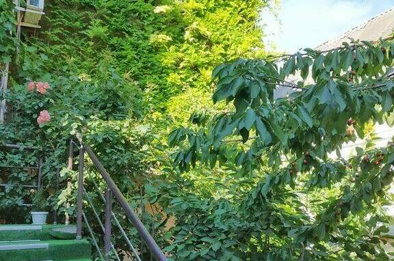 Изображение Изображение гостиницы &quot;Гостевой дом «Ирина»&quot; #9 #7