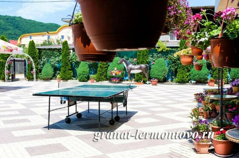 Изображение Изображение гостиницы &quot;Отель «Гранат»&quot; #3 #1