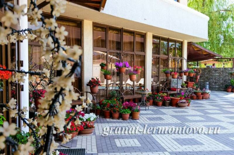 Изображение Изображение гостиницы &quot;Отель «Гранат»&quot; #5 #3