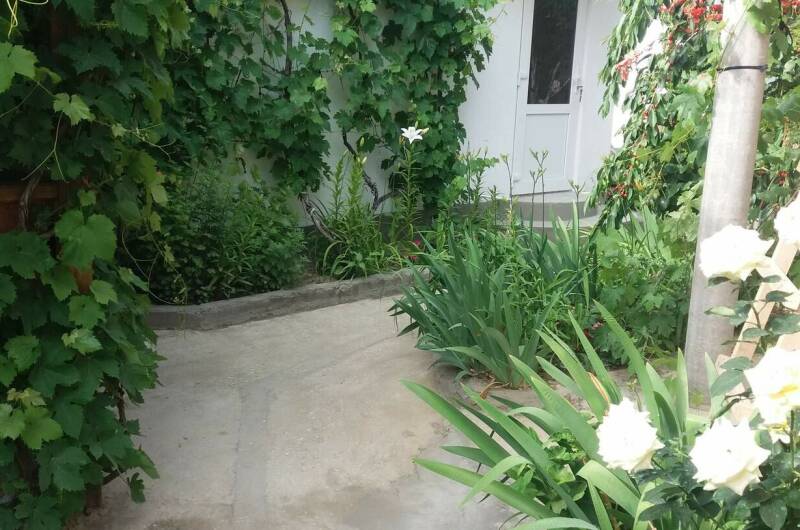 Изображение Изображение квартиры &quot;2-х комнатный дом «Южнобережный»&quot; #7 #5