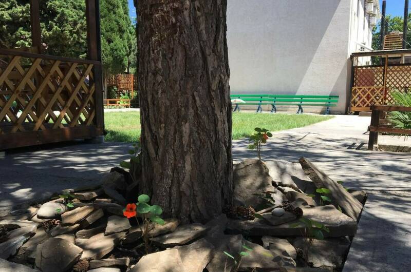 Изображение Изображение гостиницы &quot;Курортный отель «Арена»&quot; #3 #1