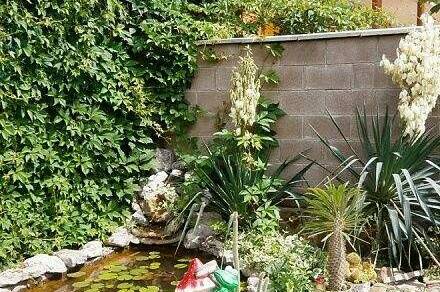 Изображение Изображение гостиницы &quot;Гостевой дом «Шанс»&quot; #5 #3