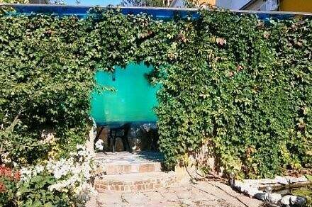 Изображение Изображение гостиницы &quot;Гостевой дом «Шанс»&quot; #7 #5