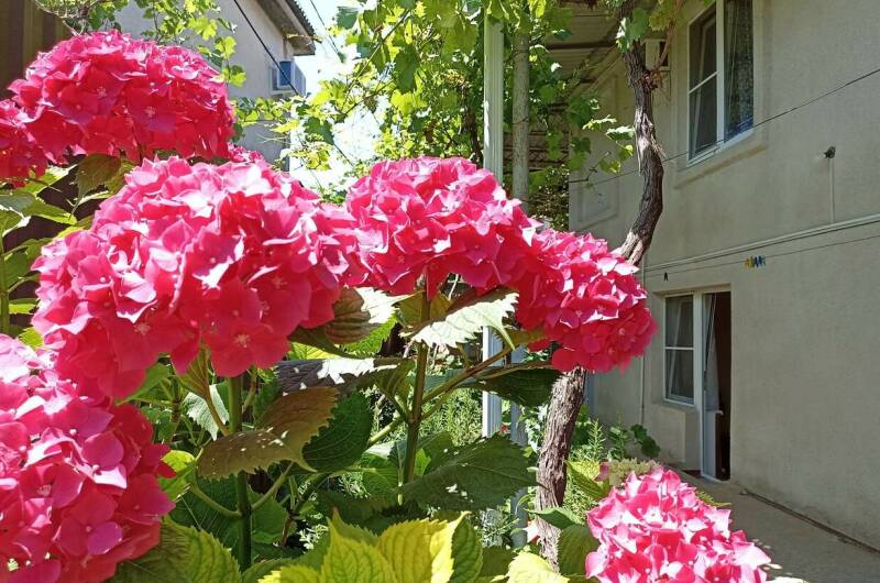 Изображение Изображение гостиницы &quot;Гостевой дом «У Риммы»&quot; #4 #2