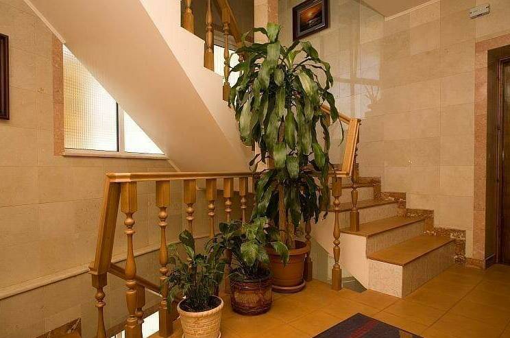 Изображение Изображение гостиницы &quot;Эллинг «Алекрини»&quot; #8 #6