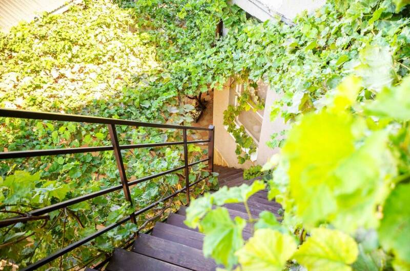 Изображение Изображение гостиницы &quot;Гостевой дом «Чайка»&quot; #4 #2