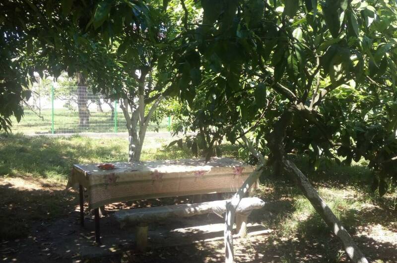 Изображение Изображение гостиницы &quot;Гостевой дом «У Артура и Сусанны»&quot; #4 #2