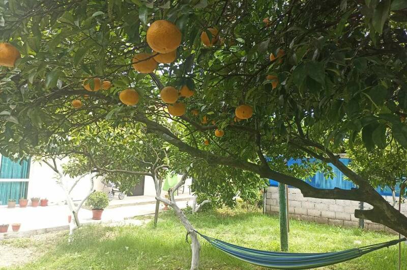 Изображение Изображение гостиницы &quot;Гостевой дом «У Артура и Сусанны»&quot; #6 #4