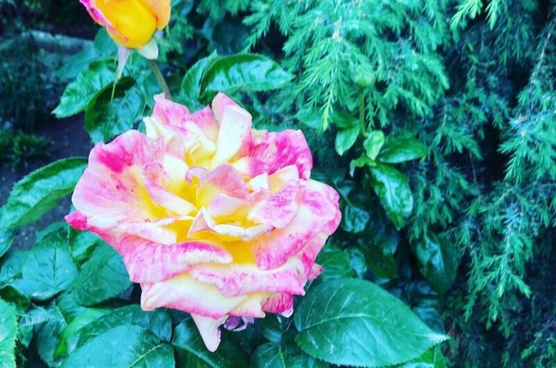 Изображение Изображение гостиницы &quot;Гостевой дом «На Шмидта»&quot; #10 #8