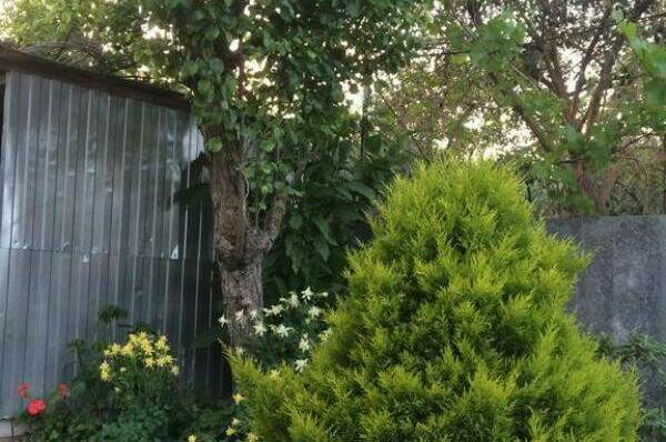 Изображение Изображение гостиницы &quot;Гостевой дом «Тёплый очаг»&quot; #3 #1