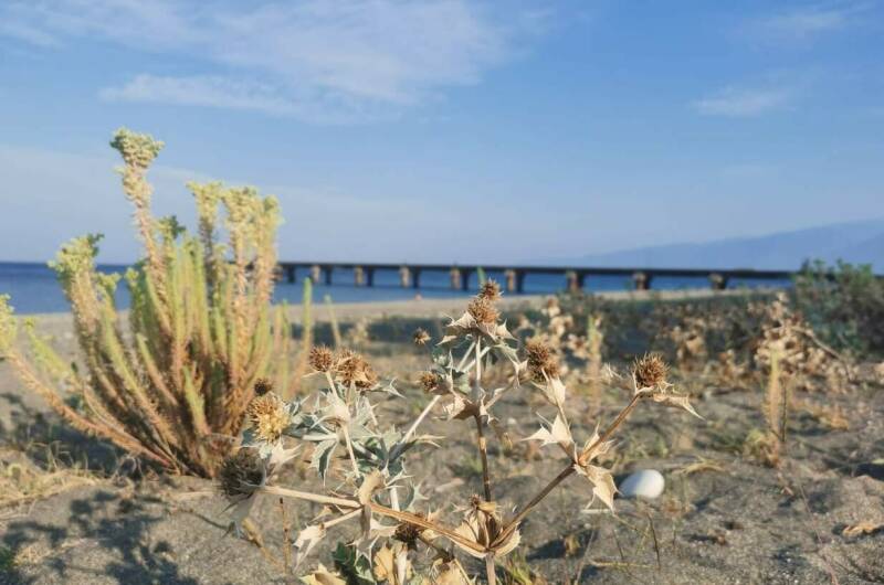 Изображение Изображение гостиницы &quot;Гостевой дом «Капри»&quot; #5 #3