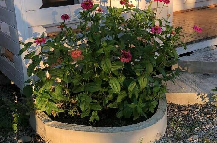 Изображение Изображение гостиницы &quot;Гостевой дом «Капри»&quot; #7 #5