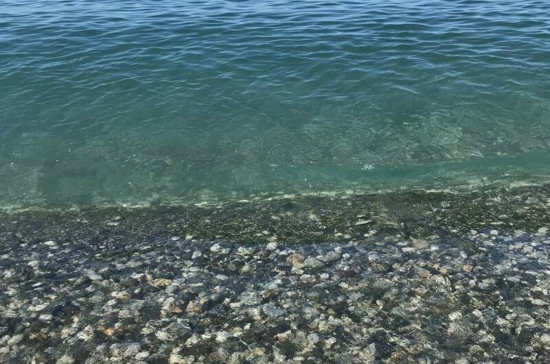 Изображение Изображение гостиницы &quot;Гостевой дом «Капри»&quot; #9 #7