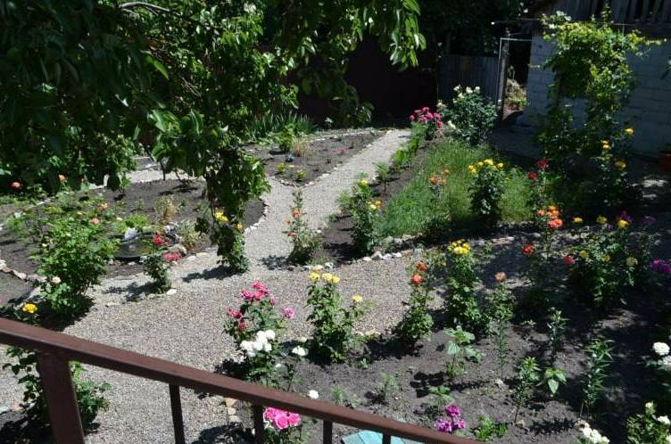 Изображение Изображение гостиницы &quot;Гостевой дом «White»&quot; #4 #2