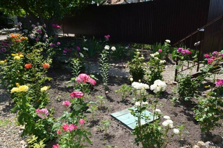 Изображение Изображение гостиницы &quot;Гостевой дом «White»&quot; #8 #6