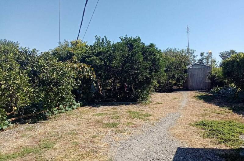 Изображение Изображение гостиницы &quot;Гостевой дом «В гостях У Шушаны»&quot; #5 #3